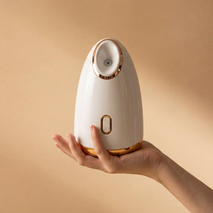Face Steamer