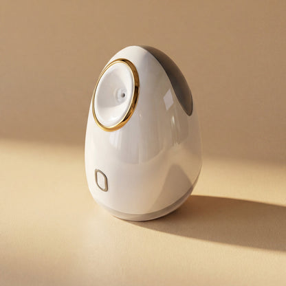 Face Steamer