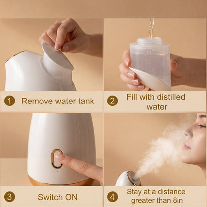 Face Steamer