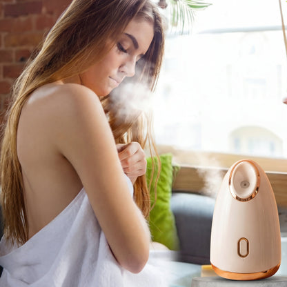 Face Steamer